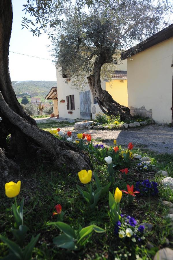 B&B Conca Del Pretore Loreto Aprutino Eksteriør billede