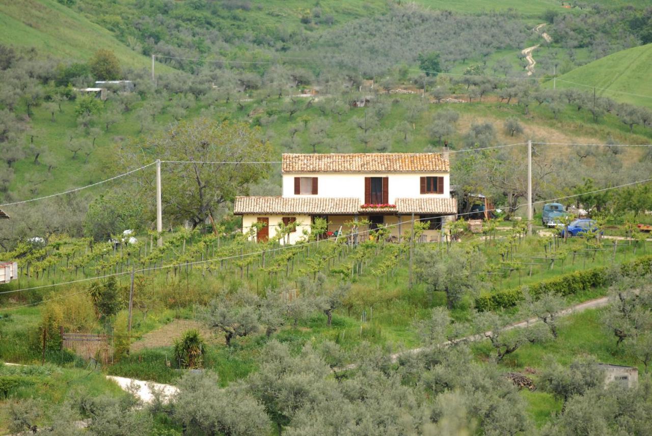 B&B Conca Del Pretore Loreto Aprutino Eksteriør billede