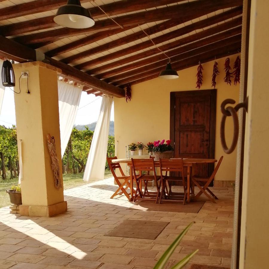 B&B Conca Del Pretore Loreto Aprutino Eksteriør billede